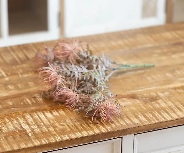 Martalia Arenal * רונדה